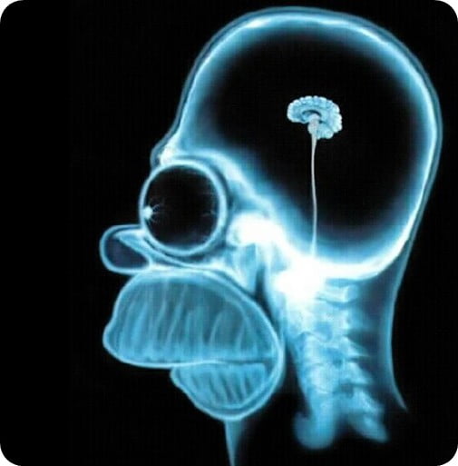 Psychologists: Facebook and Twitter are deceiving the brain Psychologists: Facebook and Twitter are deceiving the brain
