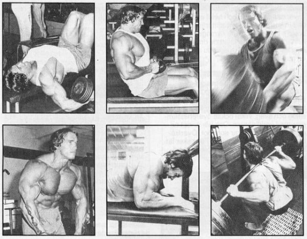 Some tips from Arnold Schwarzenegger