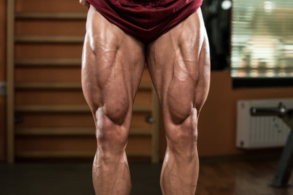 how to build triceps legs?