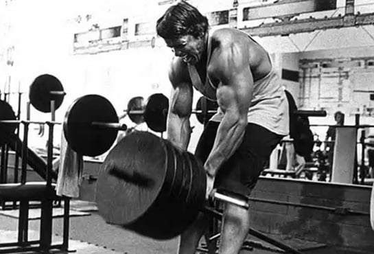 5 RULES OF TRAINING the biceps from ARNOLD