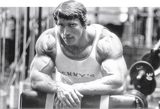 Arnold exercises triceps biceps