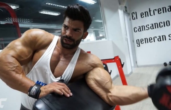How to build external beam triceps