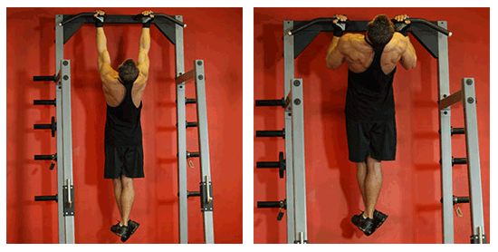 Pull-ups by the average reverse grip