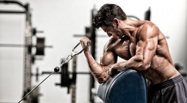 Recommendations for practicing the exercises