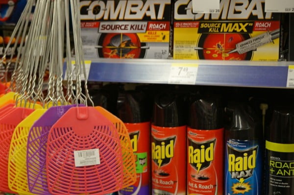german cockroaches