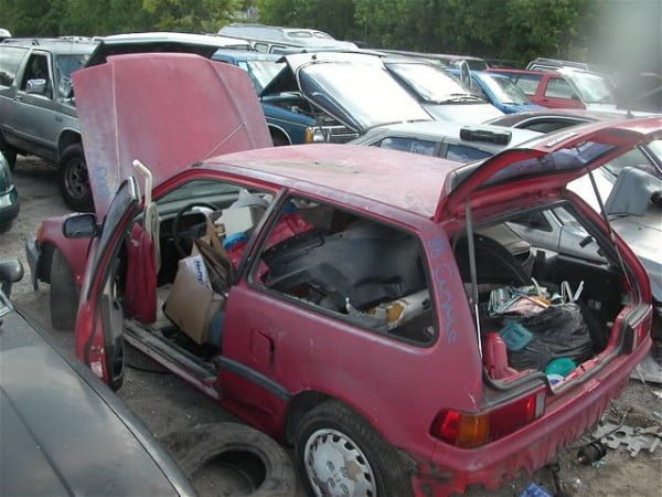 How do you get rid of the cockroaches in your car (1)