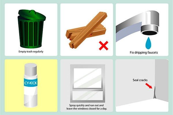 How to get rid of the cockroaches forever and easily