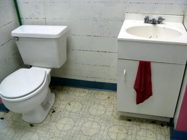 How to get rid of the cockroaches in bathroom