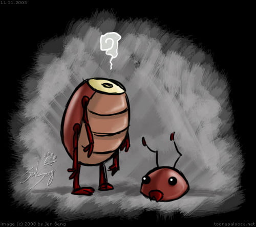 How to get rid the cockroaches in your head 1