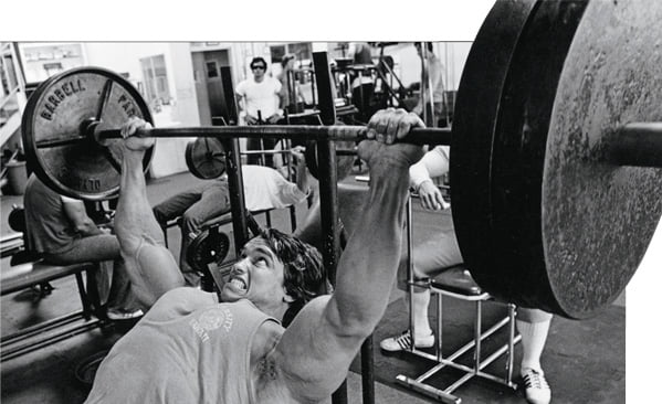 The bench from Arnold