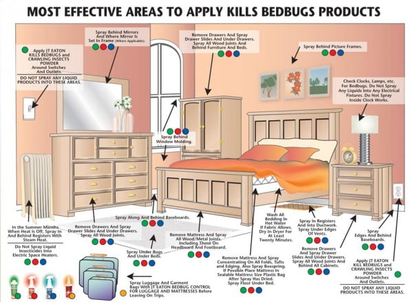bed bugs remedies