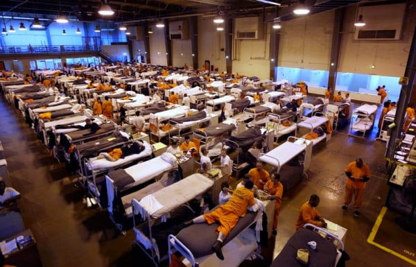 how to survive a prison riot. how to survive a prison sentence