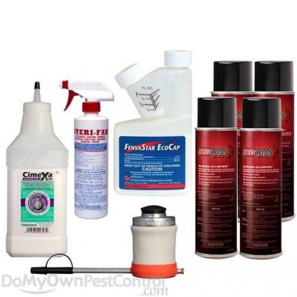 insecticides against bed bugs
