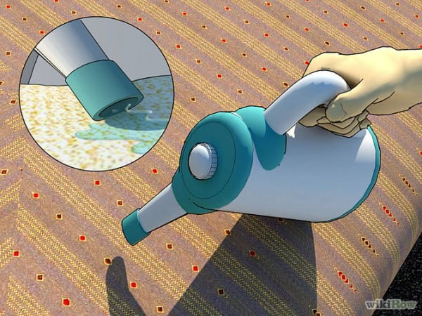 the lovely places of bed bugs