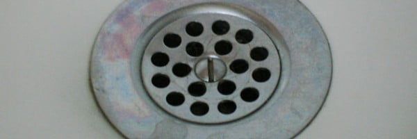 Сockroaches in bathroom drain. Tiny cockroaces and other insects in the bathroom - how to kill them 2