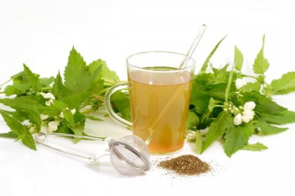 What are green tea side effects for men and women 3
