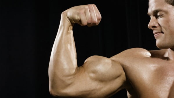 biceps
