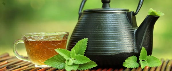 the help of green tea