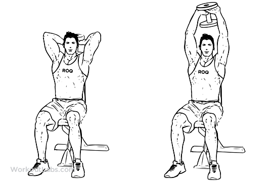 Extension of the arm with a dumbbell out of the head