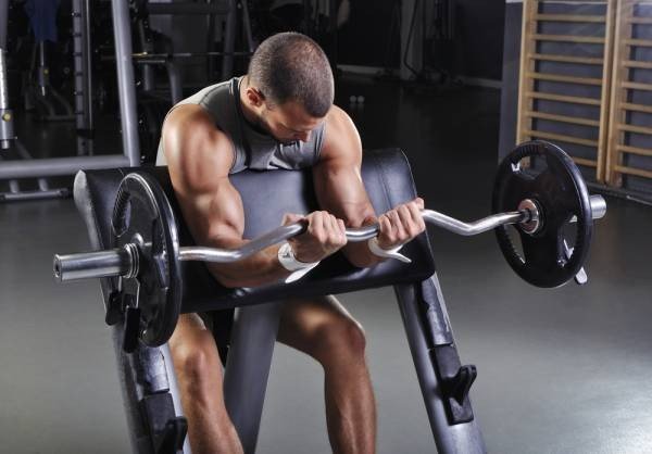 Barbell curls with a curved neck on the bench Scott