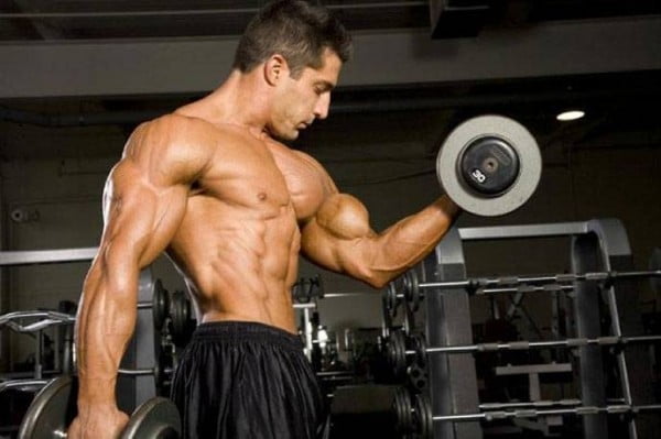 How to build biceps muscle