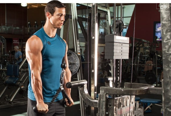 What is the most effective triceps workout routine (1)