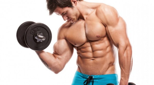 how to build biceps
