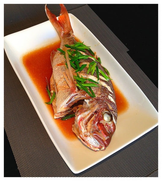 fish