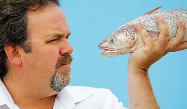 fish food eating
