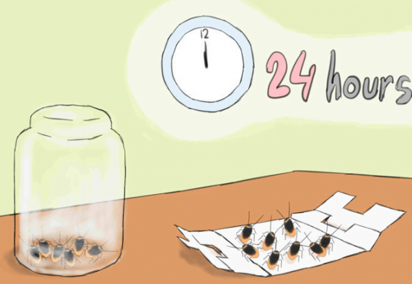 What are home remedies to stop Cockroaches